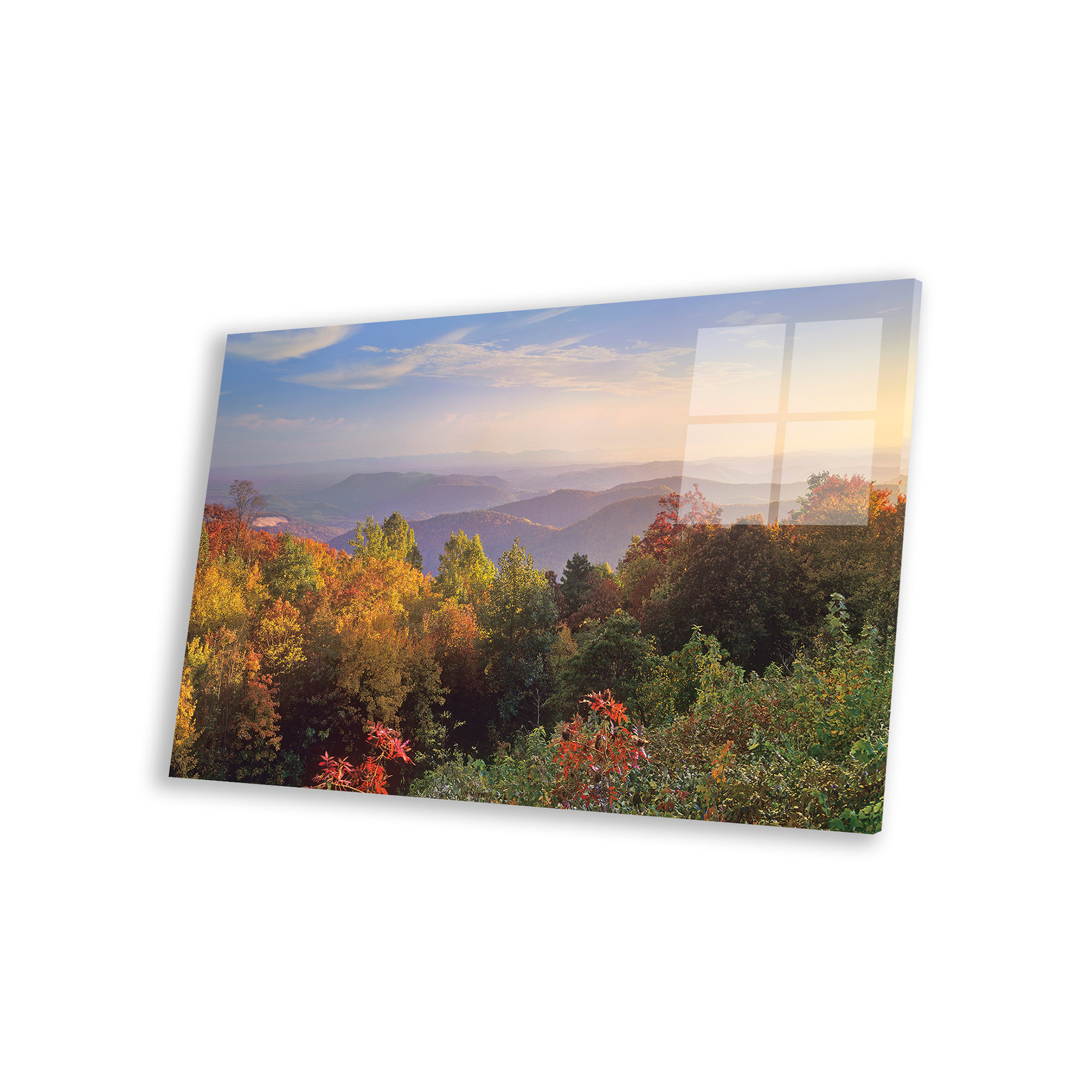 Millwood Pines Antesha " Deciduous Forest In Autumn, Blue Ridge Mountains From Doughton Park